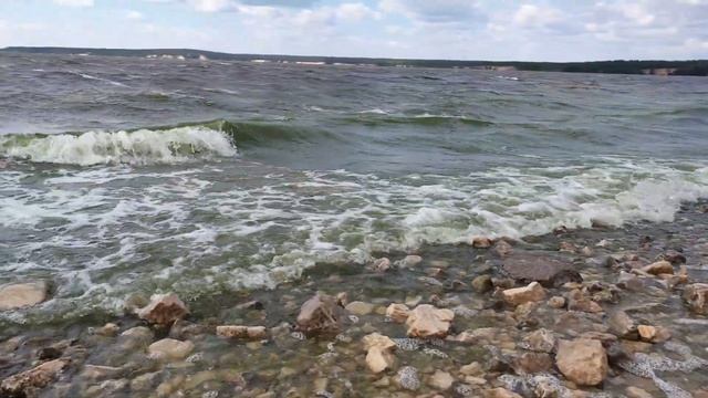 Собаки Тол и Бока на Волге с большими волнами 28.07.24 смотреть онлайн
