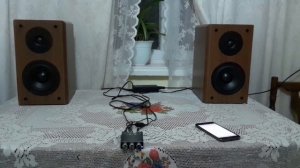 Прослушка колонок AOP с усилителем zk 502mt