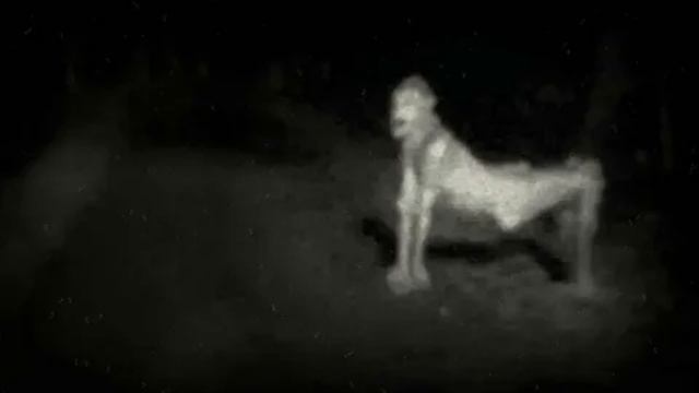 кто такая ырка?