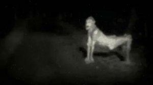 кто такая ырка?