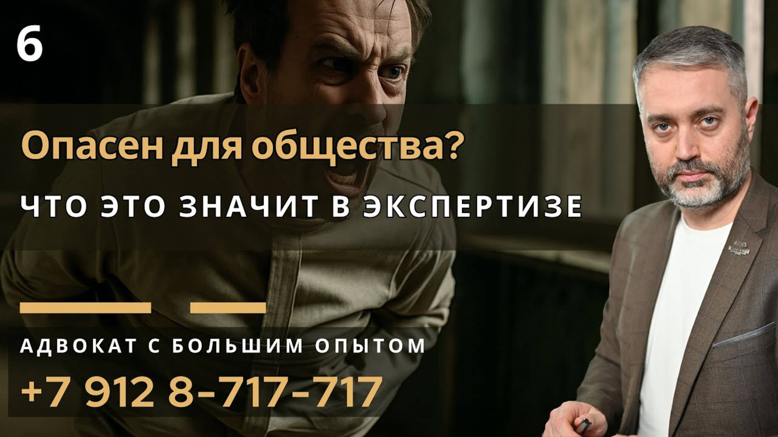 Защита по ст. 132 УК - «Опасен для общества»: как формируется вывод экспертизы смотреть онлайн