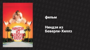 Ниндзя из Беверли-Хиллз (фильм, 1997)