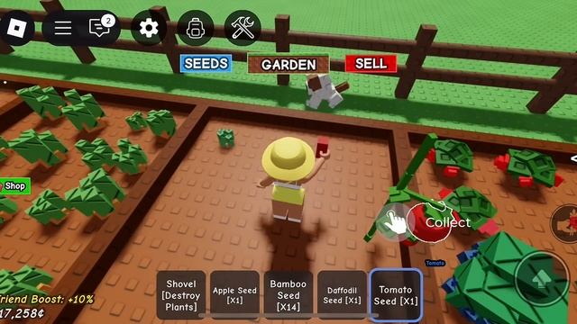 ПАНДОРА ИГРАЕМ С СИМБОЙ🦁В ВЫРАСТИ САД🫜ROBLOX #pandora #simba #roblox