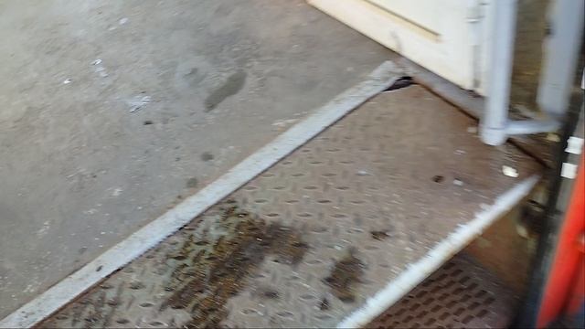 24 мая Электропоезд ЭТ2М-136 Сообщением Малая Вишера-Санкт-Петербург Прибывает на станцию Колпино смотреть онлайн