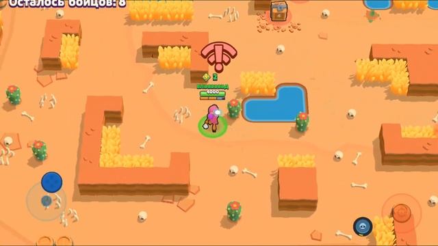 КОД НА ТАРУ СРАБОТАЛ! ТАРА