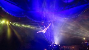 Цирк. Шоу БУРЛЕСК. Номер "Погружаясь в любовь"