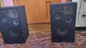 Колонки Вега 25АС-309 модернизированные с фазоинверторо