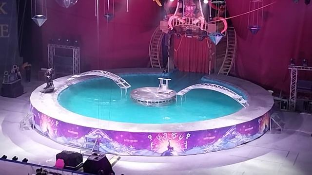 Цирк на воде ( часть 7)...номер с Нерпой смотреть онлайн