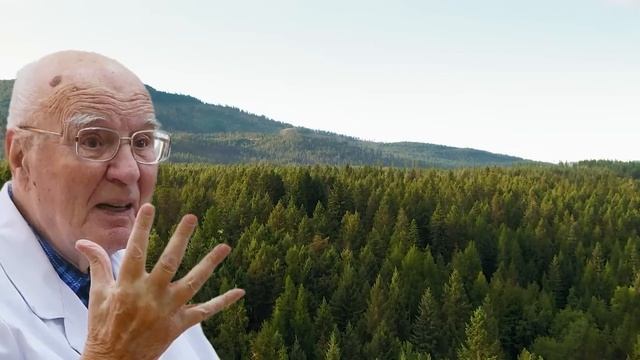 Питание для ПОДЖЕЛУДОЧНОЙ - Простые продукты, которые смотреть онлайн