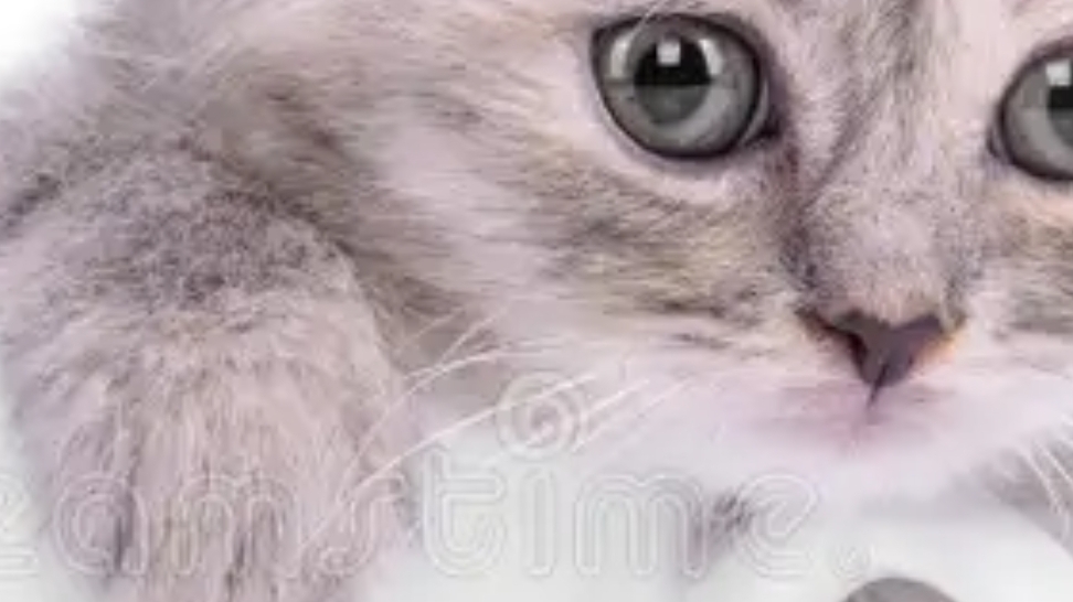 Это я котик) И я вернулся и играю в хоррор назв. В описании видео удачи😇