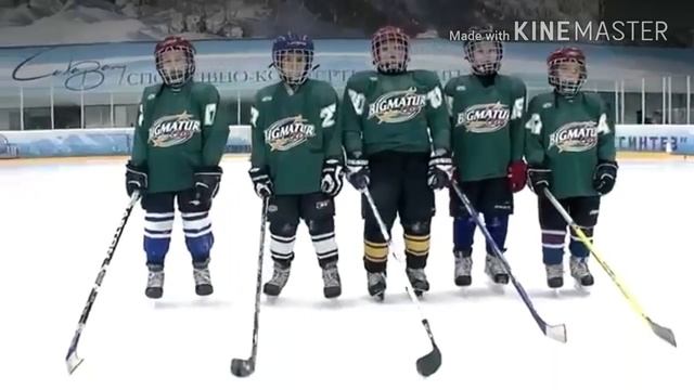 Две песни про хоккей