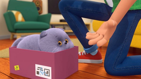 Кот Басик, 1 сезон, 6 серия. Коробка