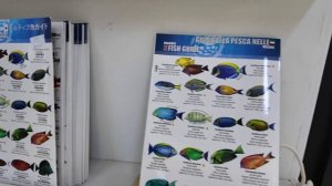 МАЛЬДИВЫ. Обзор отеля Lily Beach, остров Хувахенду.