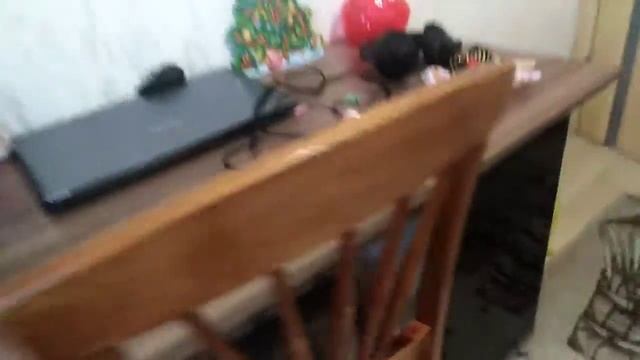 Цирк на Рождество! Обзор.