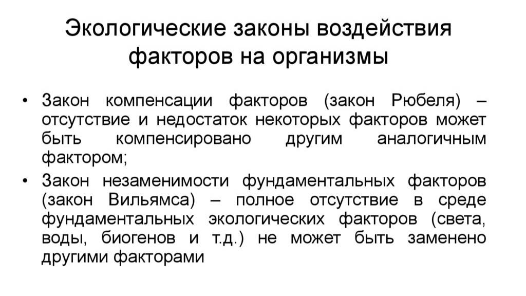 Законы Вильямса и Рюбеля смотреть онлайн
