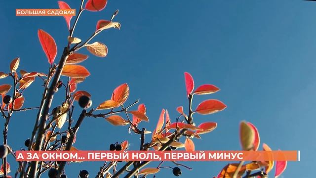 А за окном. 14 ноября 2022