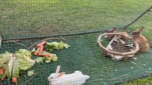 Турция Сиде 2023. Отдых в отеле Sural Hotel