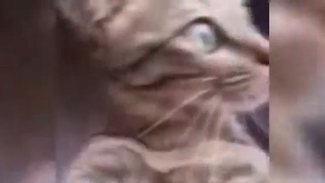 Кратко о моих каникулах-P.S Bro Vi)