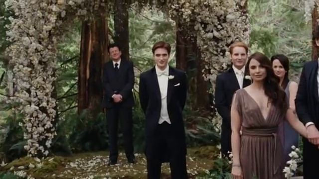 Сумерки. Сага. Рассвет. Часть 1 с 17 ноября в ККТ Космос.mov смотреть онлайн