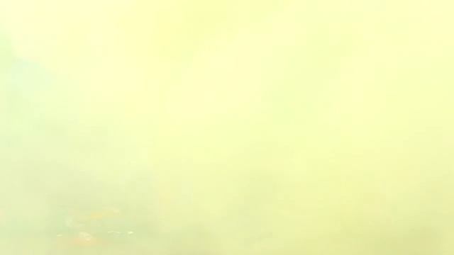 Дымовая бомба желтая смотреть онлайн