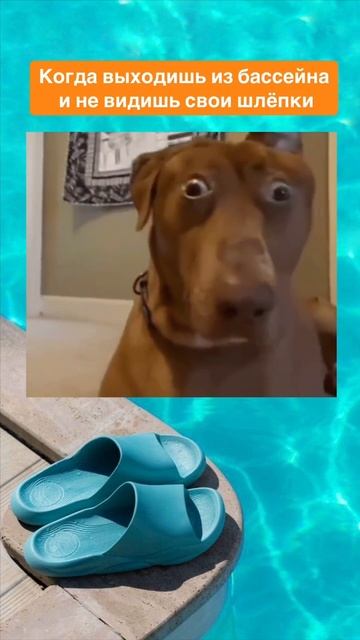 Признавайтесь, у кого было такое в бассейне?😃 смотреть онлайн