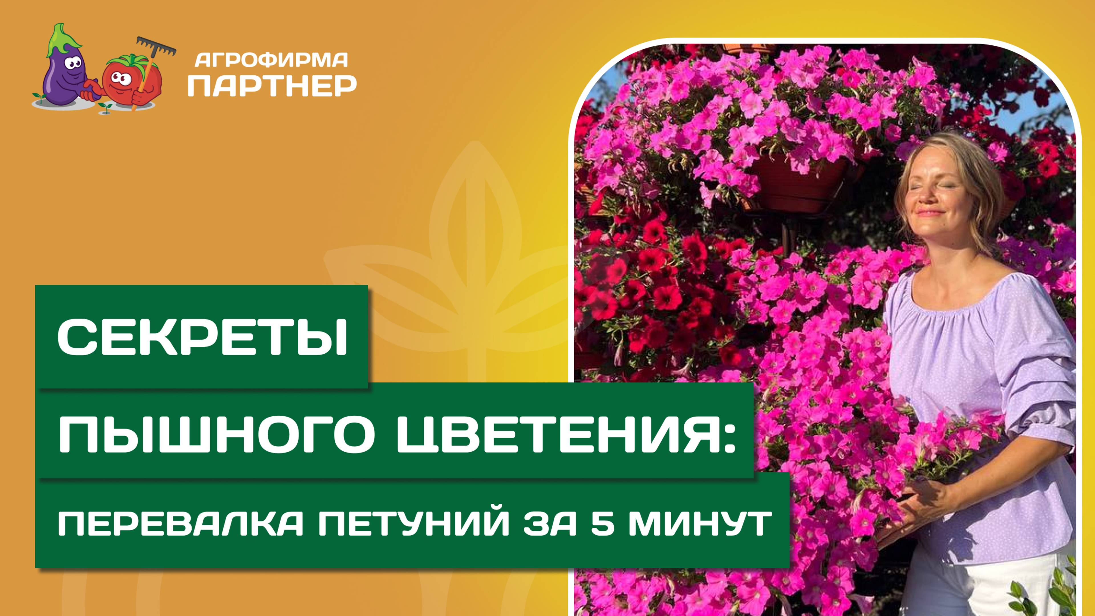 ПЕРЕВАЛКА ПЕТУНИЙ // Как добиться пышного цветения смотреть онлайн