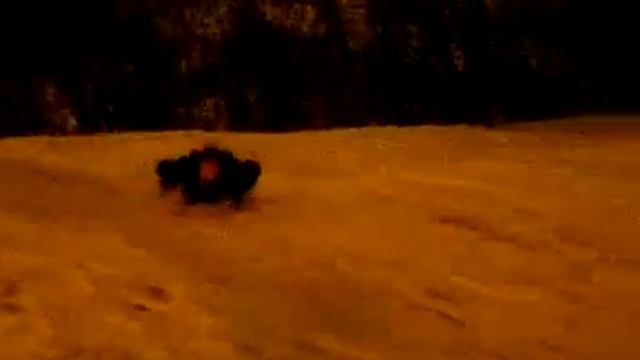 Катание на тазиках смотреть онлайн