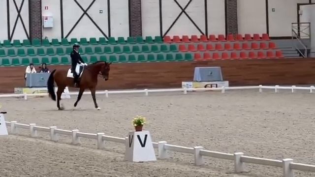 Средний приз 1 - 67,887% Арни смотреть онлайн