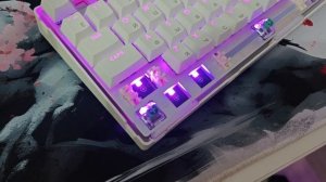 Самая ТИХАЯ магнитка на Kailh Magnetic God - Mchose Jet 75 HE #Mchose #Магн