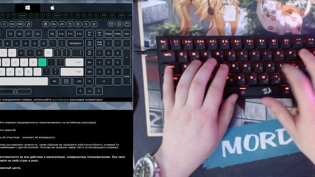 Тест клавиатуры Redragon Anivia + Redragon Black Low-profile