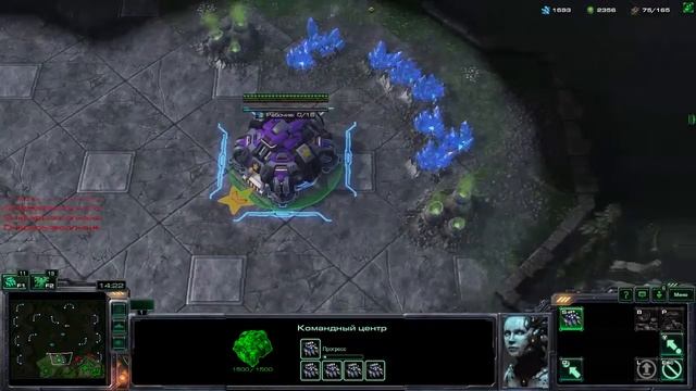 Прямая трансляция пользователя Алексей Бинг