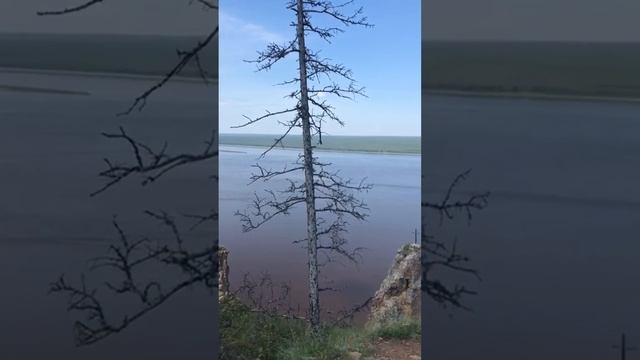 Поездка в Якутию! Подарил своим сотрудникам такое увл? смотреть онлайн