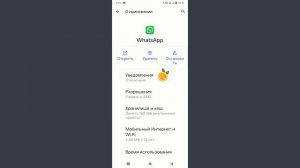 Исправить вызов WhatsApp, не отображаемый на экране блоки?