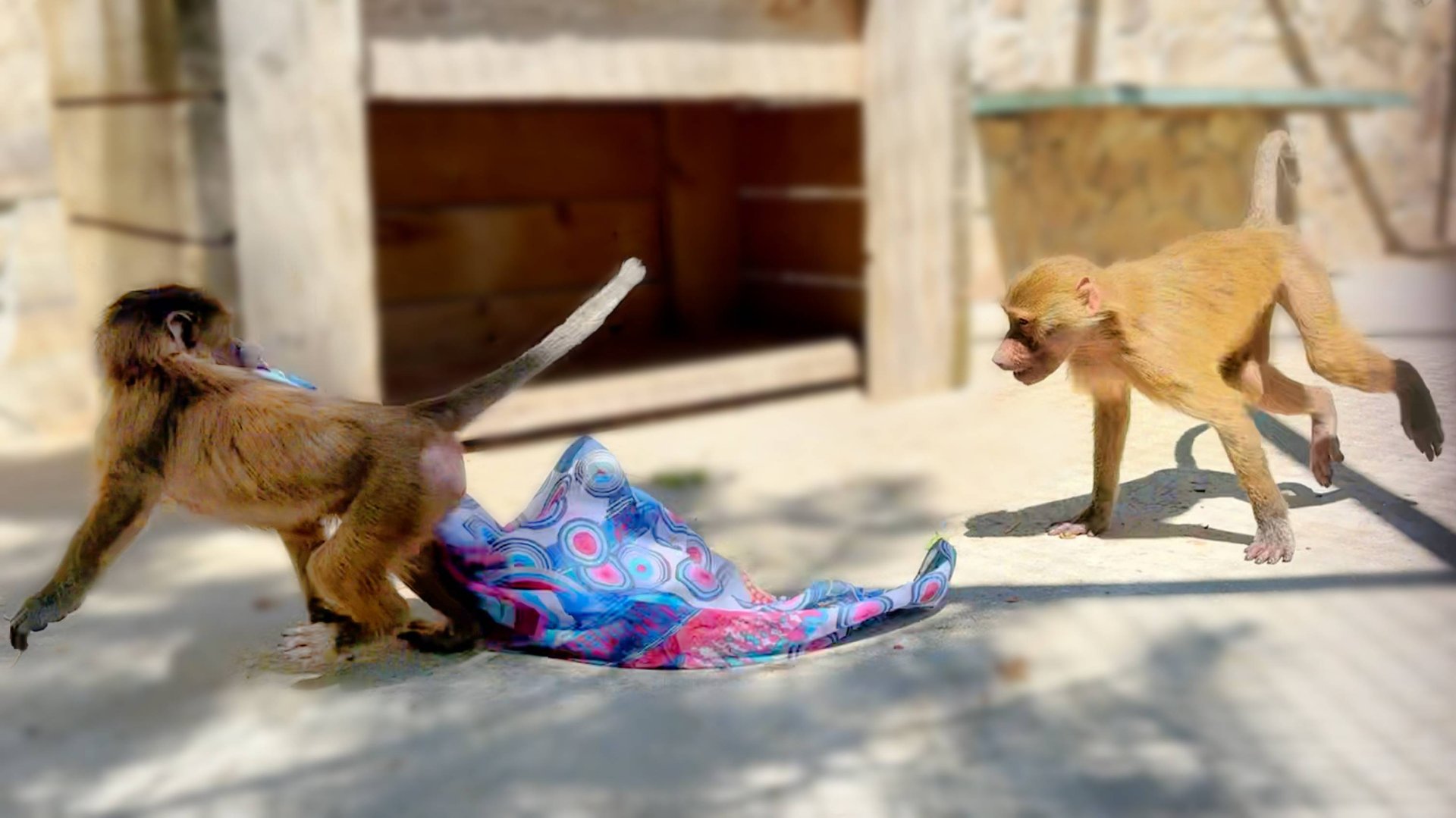 КОМЕДИЙНЫЙ ЭКШЕН! Нешуточная борьба за ПАРЭО! Степа отыгрывается на Тосе, Люся - на Мане! смотреть онлайн