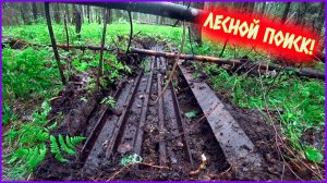 КРАСОТА!!! УСПЕШНЫЙ ВЫЕЗД В ЛЕС НА ПОИСКИ МЕТАЛЛОЛОМА!!!