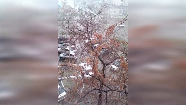 Пользователи соцсетей публикуют фото внезапного майского снегопада Погода смотреть онлайн