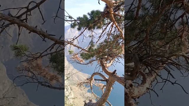 Дагестан.Ночёвка в Горах в Палатке.Красивые Локации.