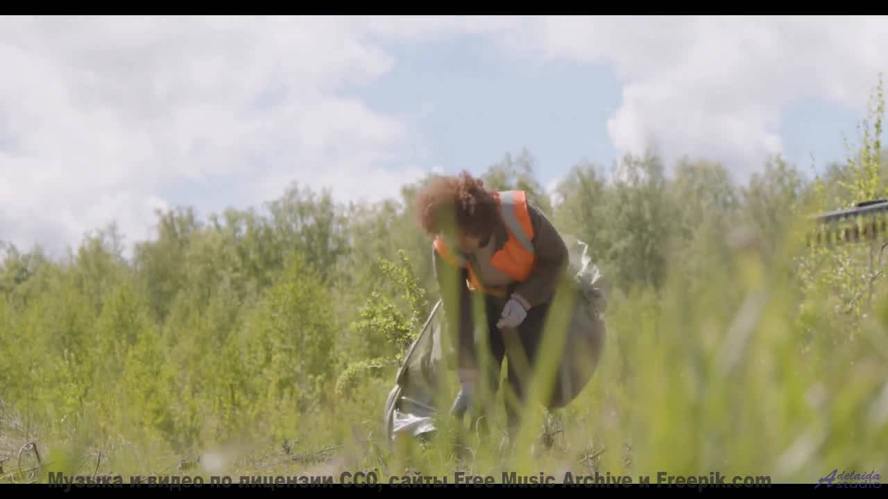 Невозможно отвести взгляд под такую музыку и виды - Moving Forward -- Scott Holmes Music -- Music fo смотреть онлайн