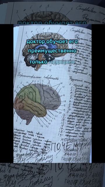 Книжный отзыв 🔥 смотреть онлайн