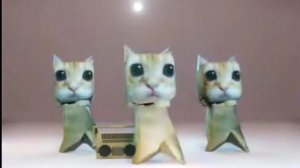 коты флексят под песню шашлык шашлычок шашлычочек