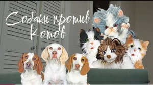 Собаки против кошек, смешной пранк.