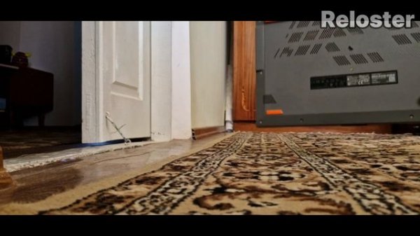 ASUS Vivobook Go 14 - Обзор, все ли ПЛОХО?