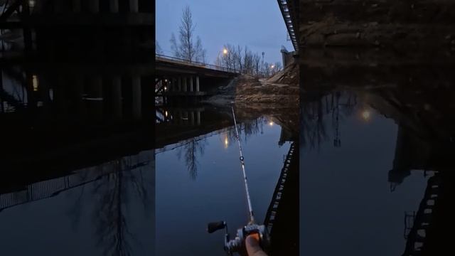 Мини тест УЛ мультипликатора Shimano. Первый выход на воду с Shimano 2023 CALCUTTA CONQUEST BFS. смотреть онлайн