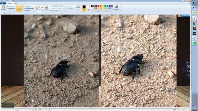 Vivo x100 ultra vs vivo x90 Pro+ Photo compare/стоит ли покупать x90 Pro+ в 2024 г смотреть онлайн