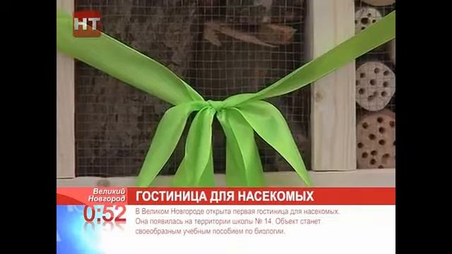 НТ Новость часа смотреть онлайн