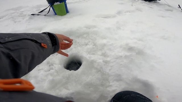 Рыбалка с детками. Спортивный окунь. оз. Андреевское смотреть онлайн