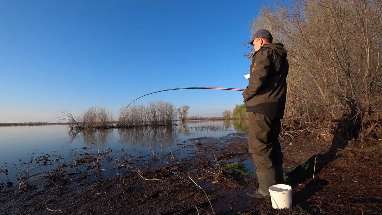 Ловля плотвы на поплавочную удочку. Рыбалка весной смотреть онлайн