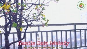 Вальс дождя! Невероятная красивая музыка Нежной любви