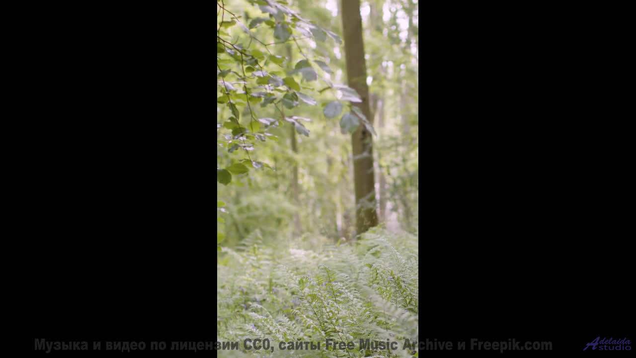 Видео, которое зарядит вас энергией на неделю вперед! - Carefree Morning -- Scott Holmes Music -- In