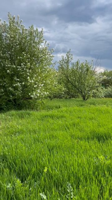 2730 смотреть онлайн